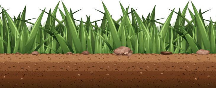 Grass Graphic Grass Graphic
