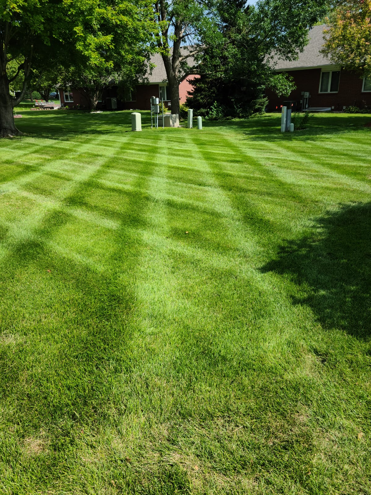 Colby Digilio, Owner of Green Expectations in Lincoln, NE