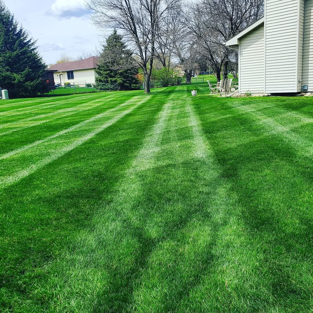 2501b1b6-cac9-4225-9775-2ba02604c28f Colby Digilio, Owner of Green Expectations in Lincoln, NE