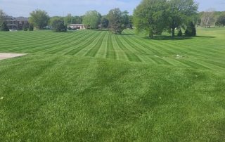 lawn maintenance