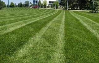 commercial lawn service