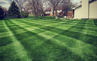 Residential Lawn Care
