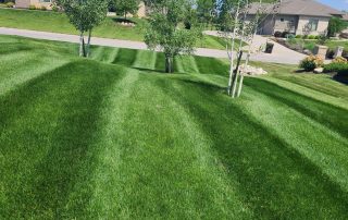 Best Lawn Care services in Lincoln, NE