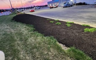 Mulching Services in Lincoln, NE