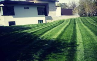 Residential lawn service in Lincoln ne