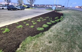Commercial Landscaping