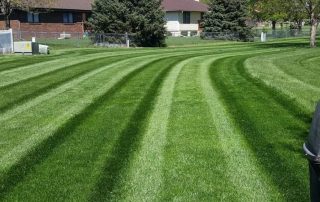 5 step fertilizing treatments