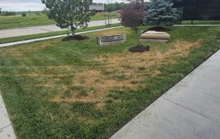 646599c5-ef94-45a8-a300-c2dccc53aff2 Fungicide Service in Lincoln, NE