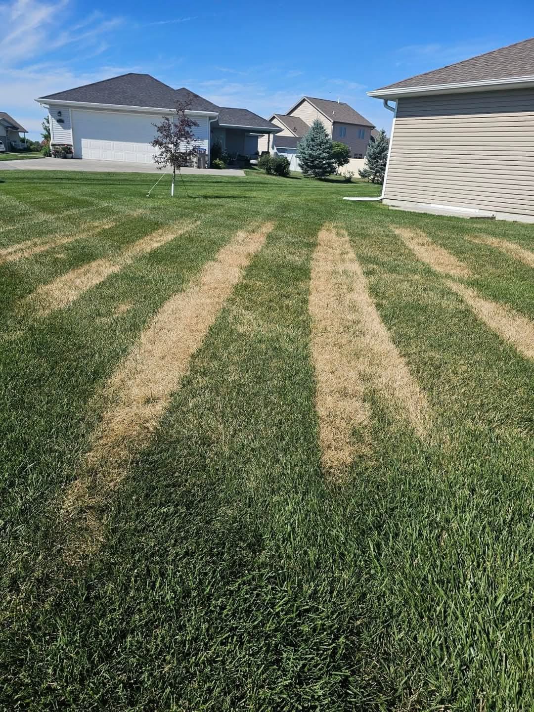 7334d795-ed23-4c78-9d5e-5616eb2fcf70 Fungicide treatments in Lincoln, NE