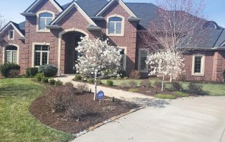 Tree and Shrub Trimming