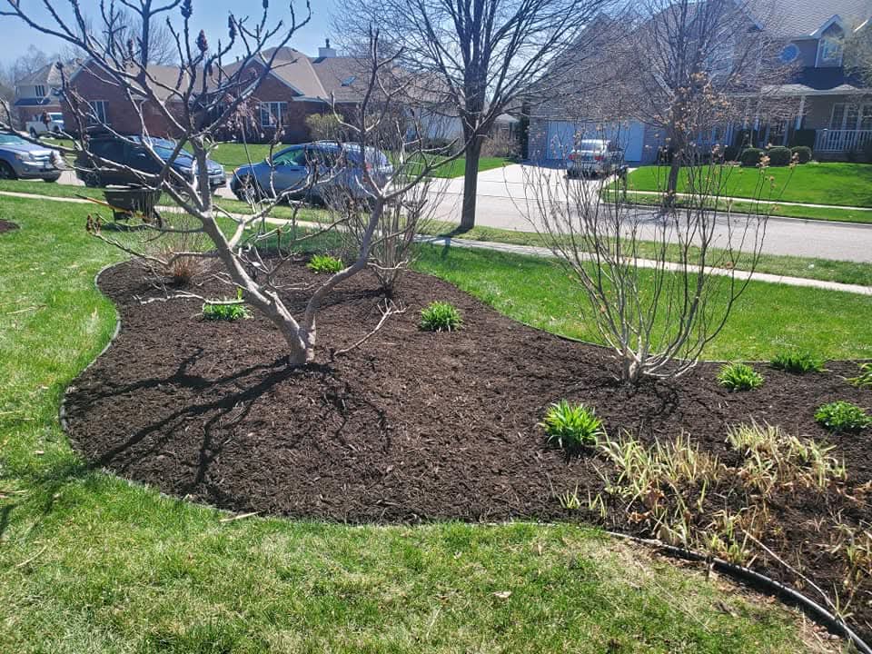Colby Digilio, Owner of Green Expectations in Lincoln, NE
