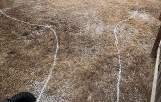 Landscaping Services in Lincoln