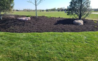 Landscaping Services in Lincoln