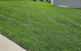 ce7d0352-8773-4271-aeb2-da0c6578917c Fungicide Services in Lincoln, NE