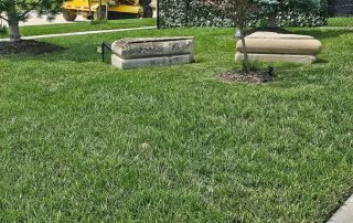 ceda80e5-1e77-4f7d-a03e-aa39f21c643d Fungicide Treatment Process in Lincoln