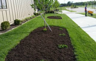 mulching