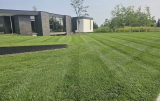 residential lawn maintenance