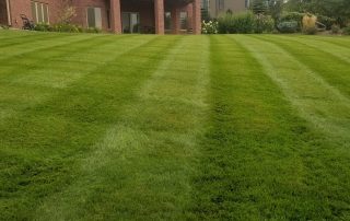 residential lawn maintenance